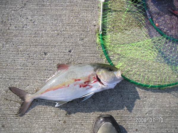 小呂島へ波止泊まり釣行 Houkouの彷徨人生 小呂島へ波止泊まり釣行 Houkouの彷徨人生