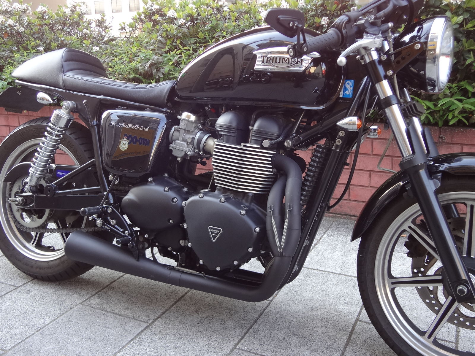 本日のcafe Racer ボンネビル 神戸市 Aさん Moto Dogカスタム日記