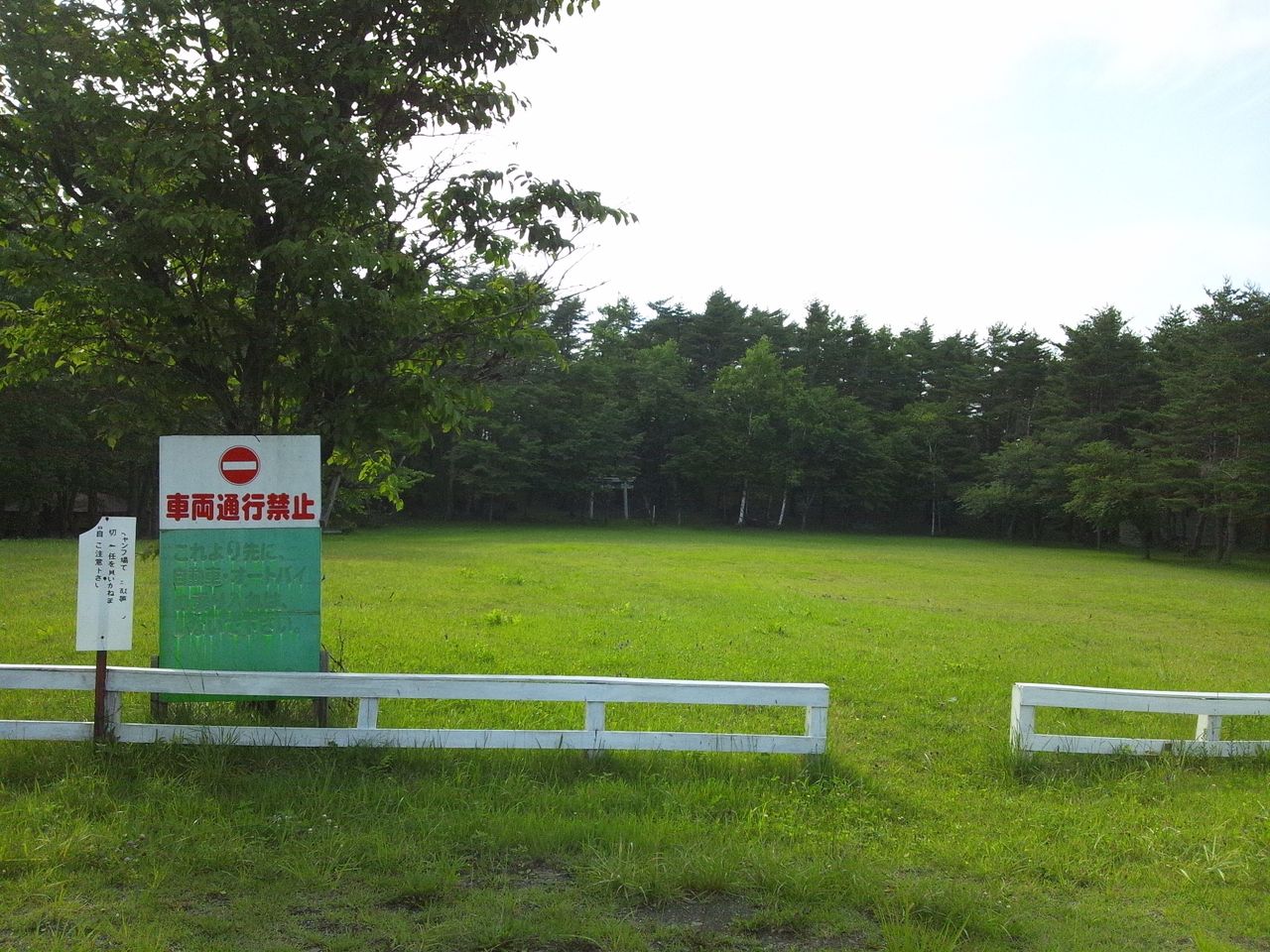 山道と小さな旗 らいおんと名無し空