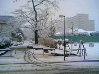 東京の冬 ミノケンの 来恩vox 面白き事もなき世を面白く