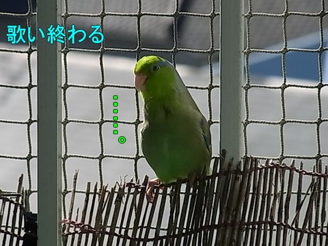 RIMG0109-1