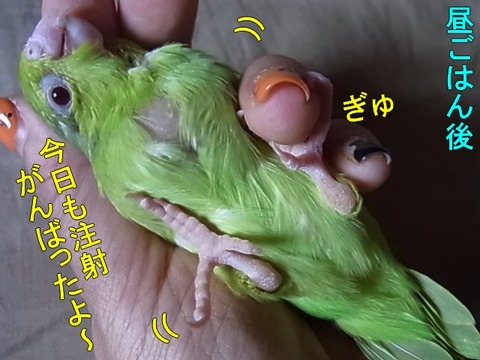RIMG0588-1