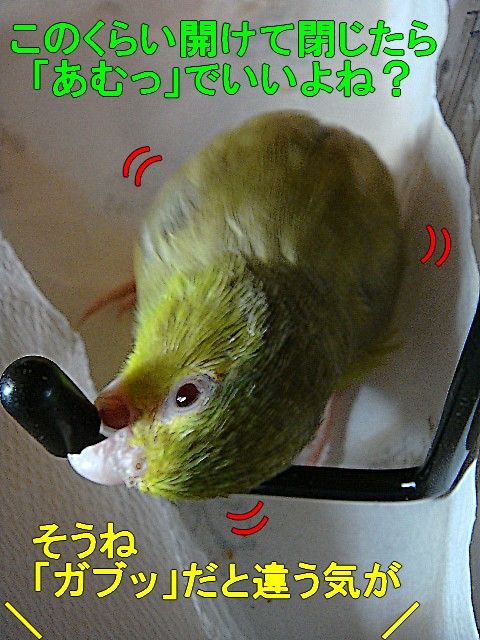 DSC05247-1