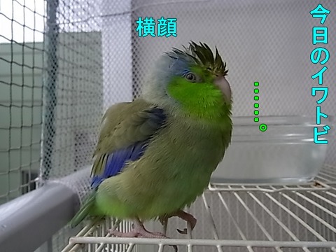 RIMG0591-1