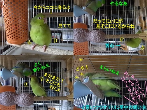 RIMG0692-8