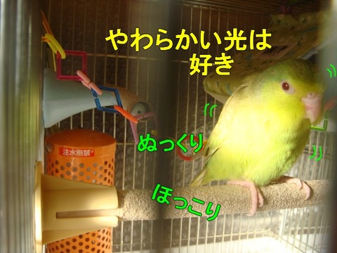 DSC05415-1