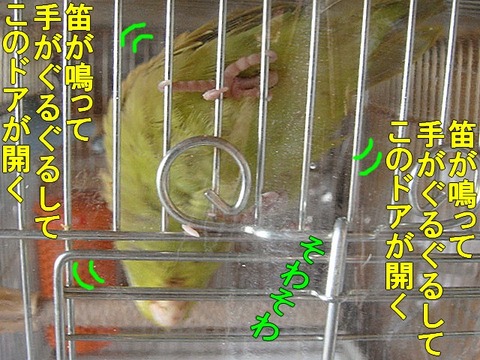 DSC05737-1
