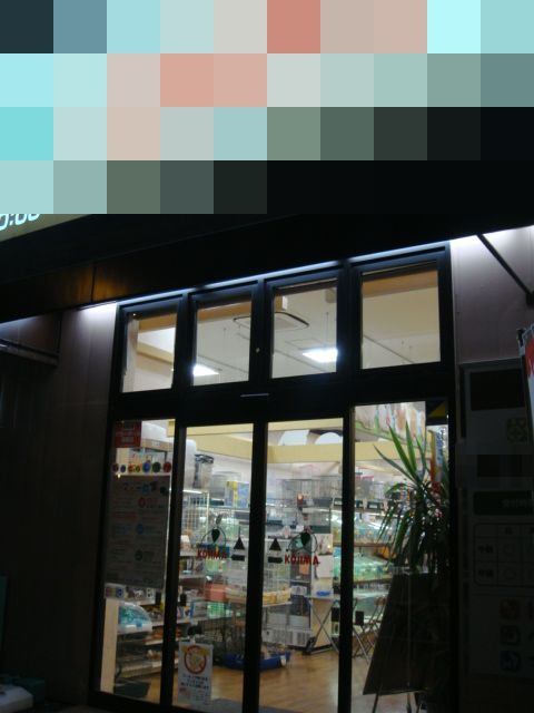 DSC05197-1