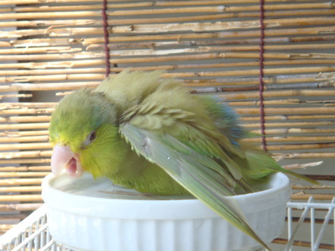 DSC06205