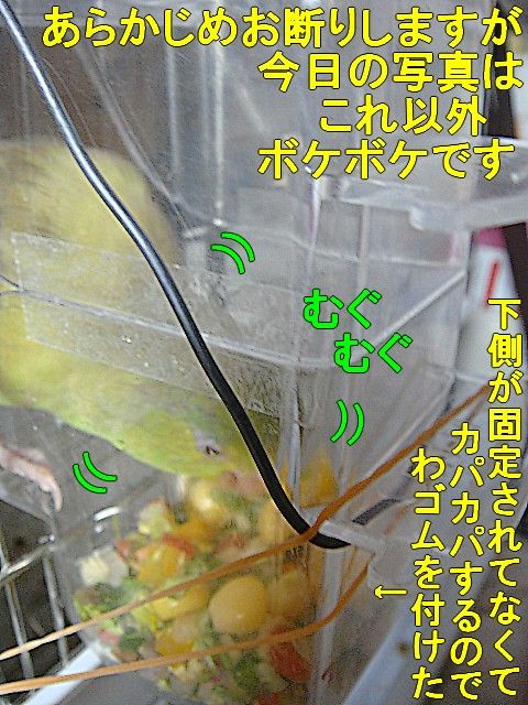 DSC05850-1