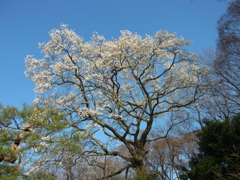 R0022370