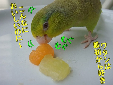 DSC06452-1
