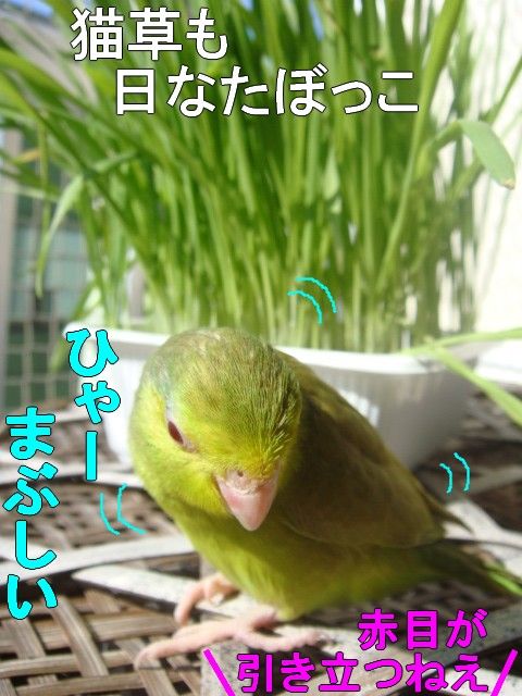 DSC05369-1