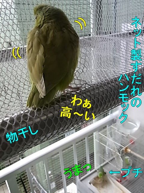 RIMG0709-1