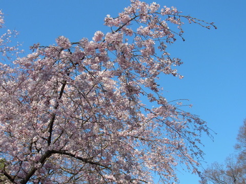R0022360