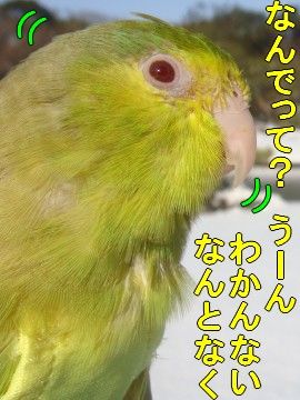 DSC05805-1