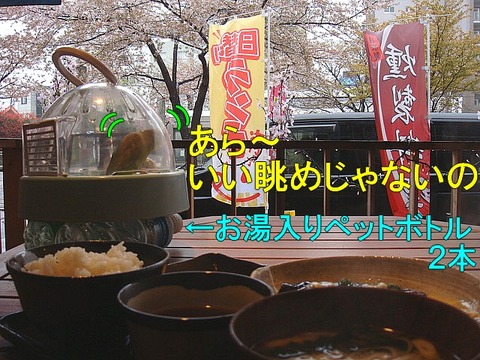 DSC06077-1