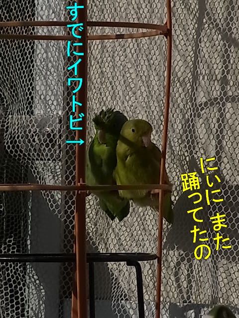 RIMG1694-1