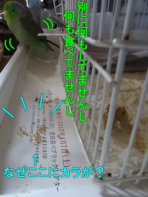 RIMG0997-1