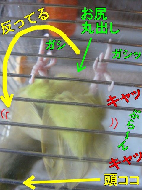 DSC05608-1