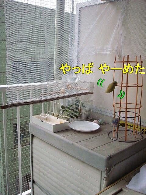 DSC06307-1