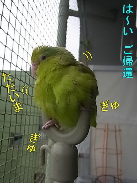 RIMG0778-1