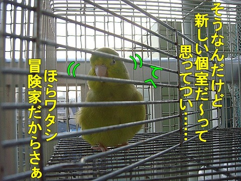 DSC06598-1