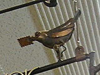 DSC03324-8