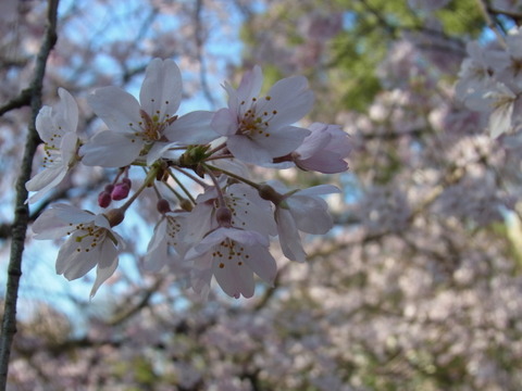 R0022358
