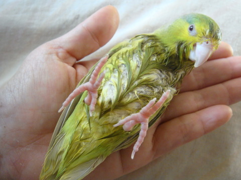 DSC06026