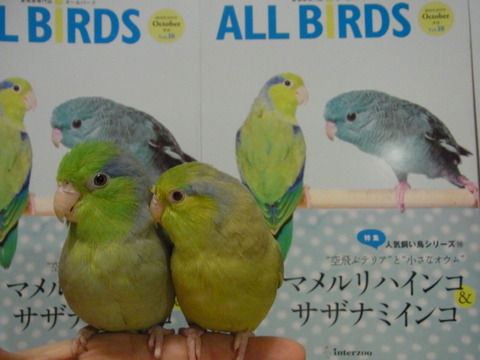 R0026563