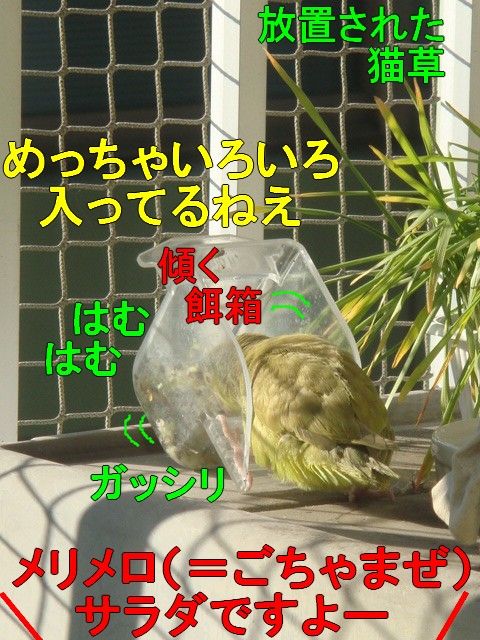 DSC05445-1