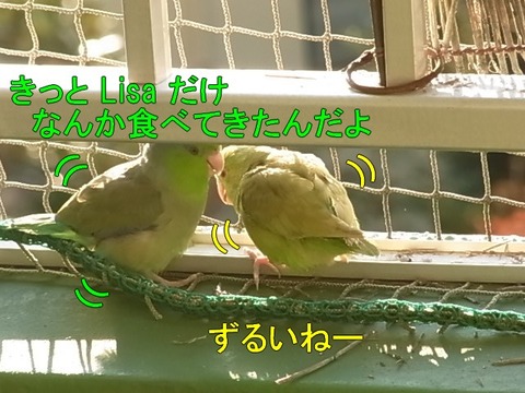 RIMG1497-1