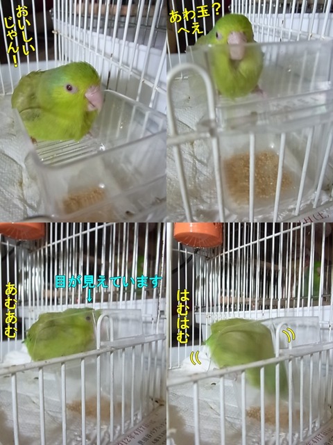 RIMG1078-8