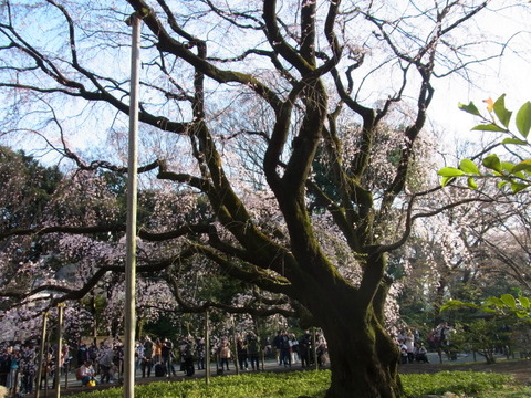 R0022378