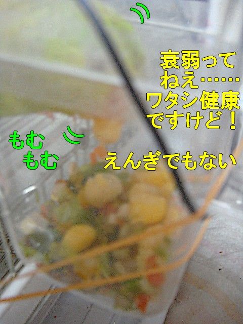 DSC05855-1