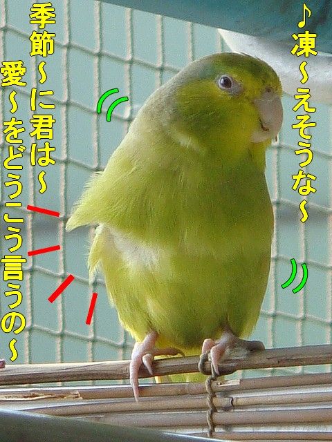 DSC06142-1