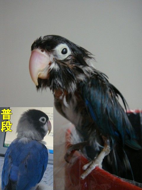 DSC04148-2