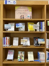IMG-9995