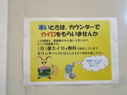 カイロ(ブログ用)