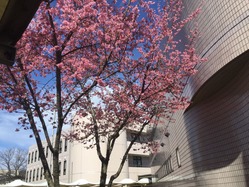 1CBAF55A-C454-4AF2-B4B8-A2C862DBD13B