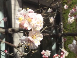 91BD3359-7655-4F01-AA79-7E01D7A14758