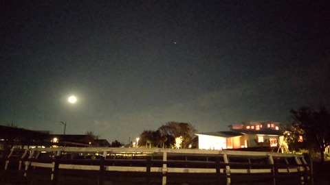 深夜のなぎさ公園