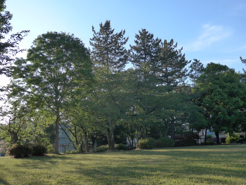 L1000550