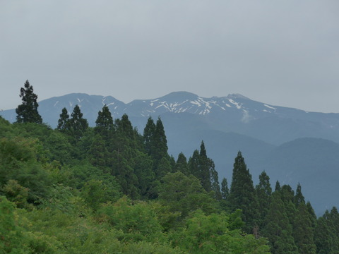 L1000846