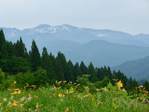 L1000837