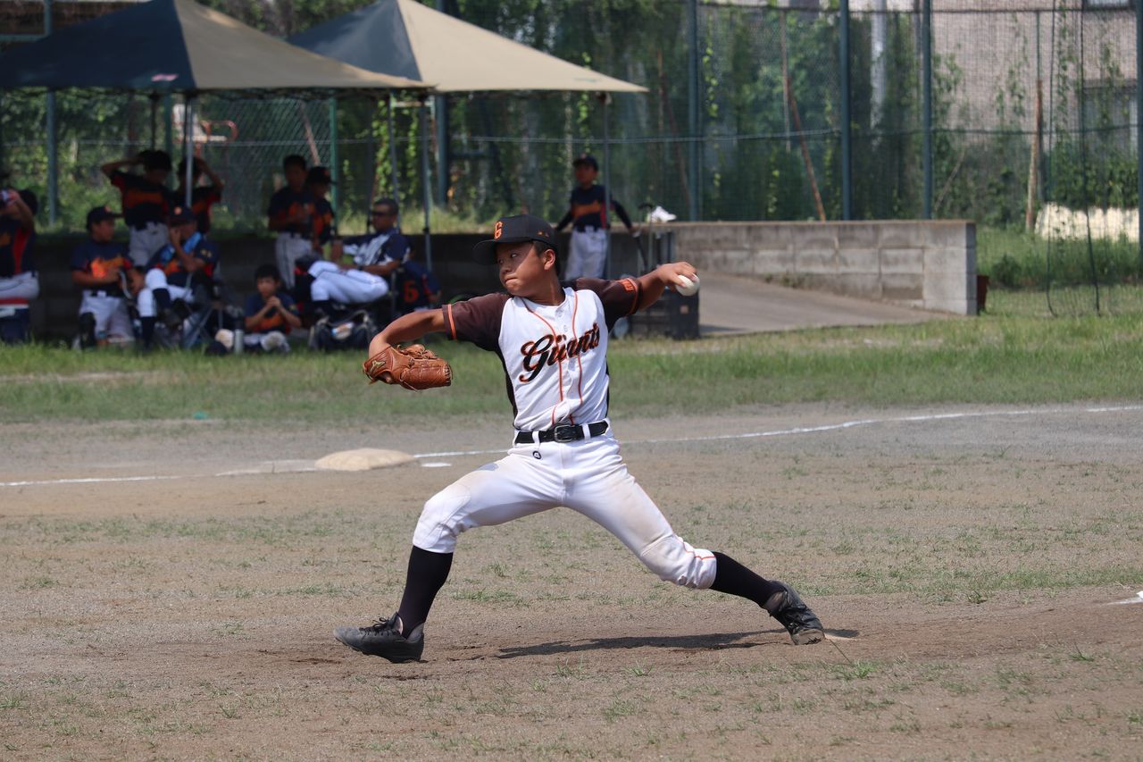 ヤクルト スワローズ ジュニア