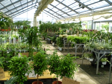 糟屋郡久山町の 久山植木 ｌｉｔｔｌｅ ｈａｐｐｙ パーチメントクラフト パピエジョリ