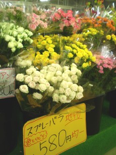 糟屋郡久山町の 久山植木 ｌｉｔｔｌｅ ｈａｐｐｙ パーチメントクラフト パピエジョリ
