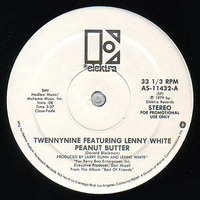 Twennynine Featuring Lenny White 1981 Elktra